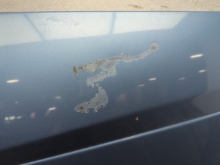Капот, ориг. номер 1430131, PXS41A16610CB, Ford Focus 2001-2005