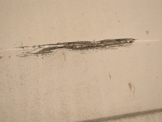 Дверь задняя (распашная) левая, ориг. номер 2368025, BK31V40011CG, Ford Transit 2013-2019