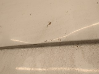 Дверь задняя (распашная) левая, ориг. номер 2368025, BK31V40011CG, Ford Transit 2013-2019