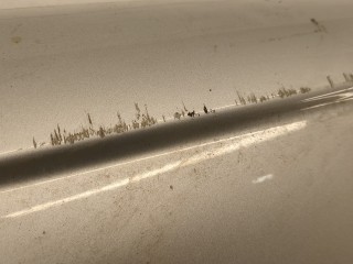 Дверь задняя (распашная) левая, ориг. номер 2778099, PBK21V40011AD, Ford Transit (Tourneo) Custom 2012-2021