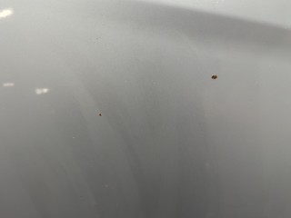 Капот, ориг. номер 1160008, 13141723, Opel Zafira B 2008-2014
