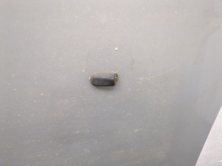 Капот, ориг. номер 1446448, P1S7116612AZ, Ford Mondeo 2000-2003