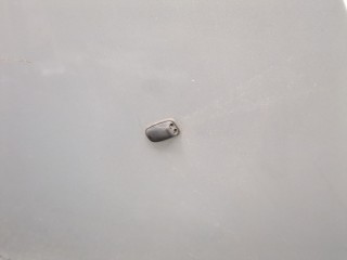 Капот, ориг. номер 1521601, P8M51A16610AE, Ford Focus 2007-2011