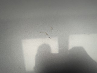 Подсветка номера, ориг. номер 51133403611, 3403611, 51137062293, 7062293, BMW X3 E83 2003-2006