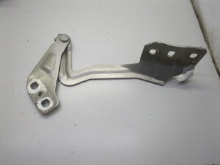 Петля капота левая, ориг. номер DS7Z16797A, Ford Fusion