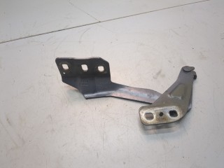 Петля капота правая, ориг. номер DS7Z16796A, Ford Fusion