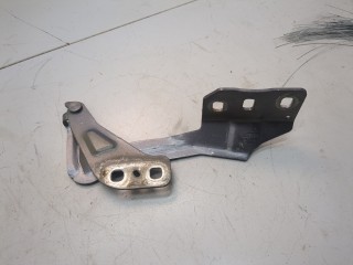 Петля капота левая, ориг. номер DS7Z16797A, Ford Fusion