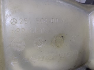 Бачок расширительный, ориг. номер A2515000049, Mercedes R W251
