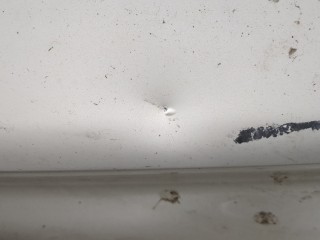 Капот, Opel Antara 2006-2011