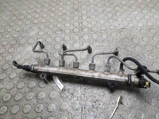 Рампа (рейка) топливная, KIA Sportage 2008-2010