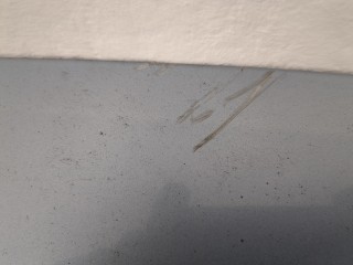 Подсветка номера, Ford Fiesta 2001-2007