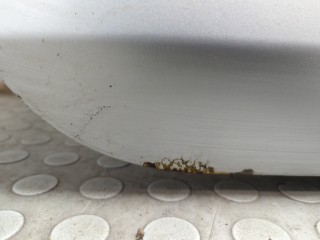 Дверь боковая (легковая) правая передняя, Volkswagen Golf 6 2008-2012