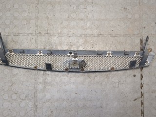 Решетка радиатора, Ford Focus 2001-2005