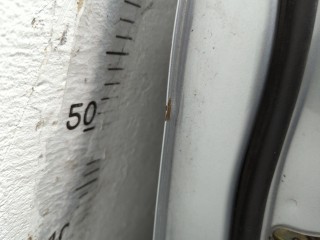 Стеклоподъемник электрический левый передний, Toyota Yaris Verso 2003-2006
