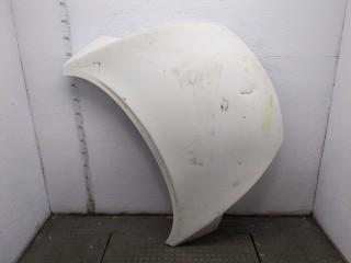 Капот Nissan Juke 2010-2014, F5100BA6MA
