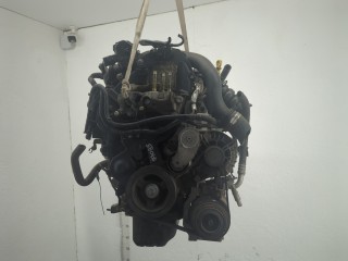 Натяжитель приводного ремня Ford Focus 2011-2015, 1.5 л, дизель