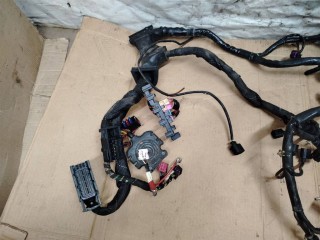 Проводка двигателя, Audi A6 C6/4F 2004-2008