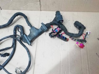 Проводка двигателя, Audi A6 C6/4F 2004-2008