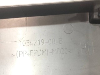 Накладка порога рокерной панели, ориг. номер 1035097-00-D, 1045634-00-D, 1034219-00-B, Tesla Model X 2015-2021
