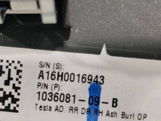 Накладка декоративная обшивки двери, ориг. номер 1036081-09-B, Tesla Model X 2015-2021
