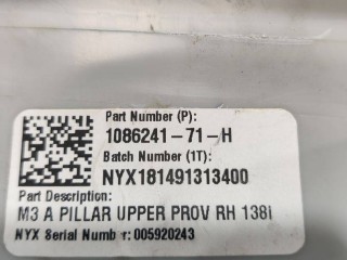 Накладка стойки А, ориг. номер 1086241-01-J, Tesla Model 3 2017-2021