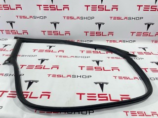 Уплотнитель проема дверного, ориг. номер 1090500-00-K, Tesla Model 3 2017-2021