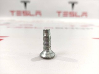 Болт петли замка двери, ориг. номер 2007217-00-B, Tesla Model S 2012-2016