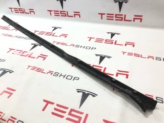 Молдинг накладки порога, ориг. номер 1012215-00-G, Tesla Model S 2012-2016