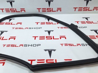 Уплотнитель проема дверного, ориг. номер 6009586-00-I, Tesla Model S 2012-2016