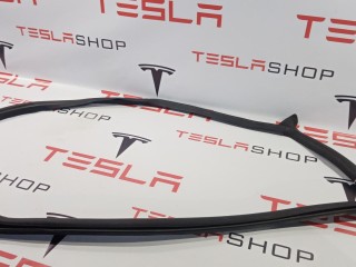 Уплотнитель проема дверного, ориг. номер 1090500-00-K, Tesla Model 3 2017-2021