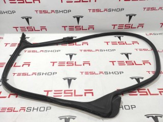 Уплотнитель проема дверного, ориг. номер 6009585-00-I, Tesla Model S 2012-2016