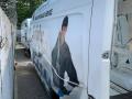 задняя часть кузова Mercedes-Benz Sprinter W907/W910 2019г. - фото №8