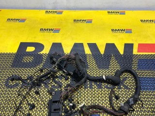 Проводка двигателя BMW X5 E53 1999-2003