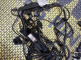 Проводка двигателя, BMW X5 E70 2006-2010