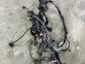 4F2971072LA Проводка двигателя Audi A6 4F/C6 - фото №2