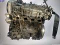 Z19DTH Двигатель (ДВС) Opel Signum 2004г. - фото №2