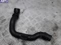 AJM Патрубок радиатора Volkswagen Passat B5 1999г. - фото №2