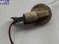 Патрон лампы указателя поворота Renault Megane 1 (1995-2003) 1996г. - фото №2