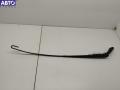 8L1955408A Щеткодержатель (поводок стеклоочистителя) передний Audi A3 8L (1996-2003) 2002г. - фото №2