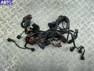 Проводка двигателя, ориг. номер 8D1971072NT, Audi A6 C5 (1997-2005)