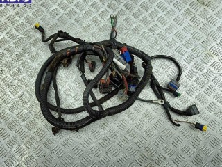 Проводка двигателя, ориг. номер 9663465780, Citroen C4 (2004-2010)