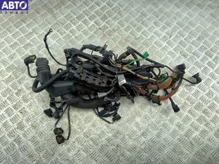 Проводка двигателя BMW 7 E65/E66 (2001-2008)