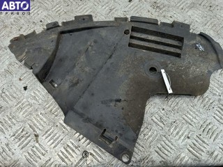 Защита бампера переднего, ориг. номер 620246187R, Dacia (Renault) Sandero