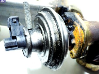 Охладитель отработанных газов, ориг. номер 11717805189, 11717801942, BMW 1 E81 (2004-2012)