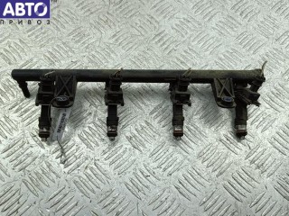Форсунка топливная (комплект) Dacia (Renault) Sandero, 0280158034