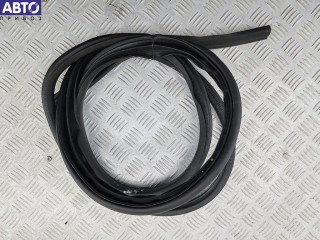 Уплотнитель двери передней левой, Ford Focus 2 (2004-2011)