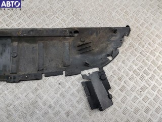 Защита бампера переднего, Renault Scenic 2 (2003-2009)