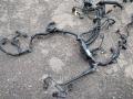 8599696, 738008905 Проводка двигателя BMW X4 G02 2019г. - фото №5