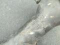 9615833980 Патрубок (трубопровод, шланг) Peugeot 307 2001г. - фото №7