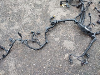 Проводка двигателя, ориг. номер 8599696, 738008905, BMW 5 G30/G31 restailing